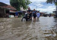 Waspada Penyakit saat dan Pasca Banjir dan Cara Mencegahnya
