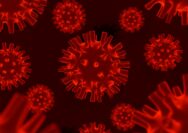 Super Flu Subclade K di Indonesia: Gejala, Sebaran Kasus, dan Imbauan Kemenkes