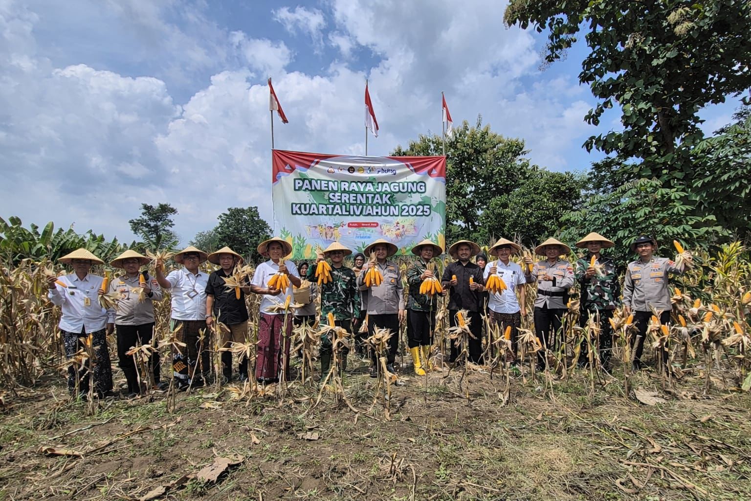 Sinergi Ketahanan Pangan, Panen Jagung Serentak di Kudus Tembus 26 Ton
