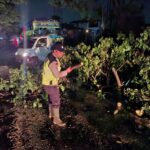 Polisi dan BPBD Bergerak Dini Hari Atasi Pohon Tumbang di Jalur Pati-Juwana