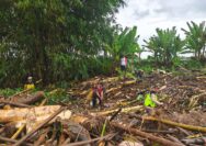 Polsek Tayu Pimpin Kerja Bakti Bersihkan Sungai Gadu, Polisi dan Warga Bersatu Pulihkan Dampak Banjir