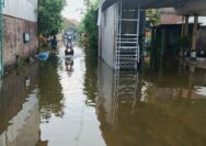 Demak Dikepung Banjir: Dari Sayung Hingga Karanganyar, Ribuan Rumah Terendam Air dan Rob