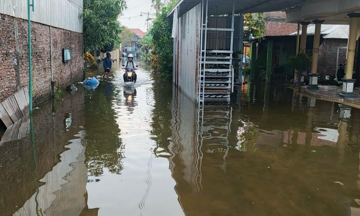 Demak Dikepung Banjir: Dari Sayung Hingga Karanganyar, Ribuan Rumah Terendam Air dan Rob