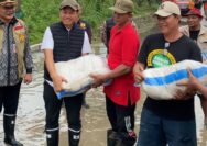 Kudus Dikepung Banjir dan Longsor: Simpan Nomor Darurat Ini untuk Evakuasi Cepat!