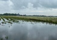 DPC PDIP Kudus Instruksikan Fraksi Kawal Perda Perlindungan Petani Akibat Banjir