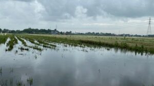DPC PDIP Kudus Instruksikan Fraksi Kawal Perda Perlindungan Petani Akibat Banjir