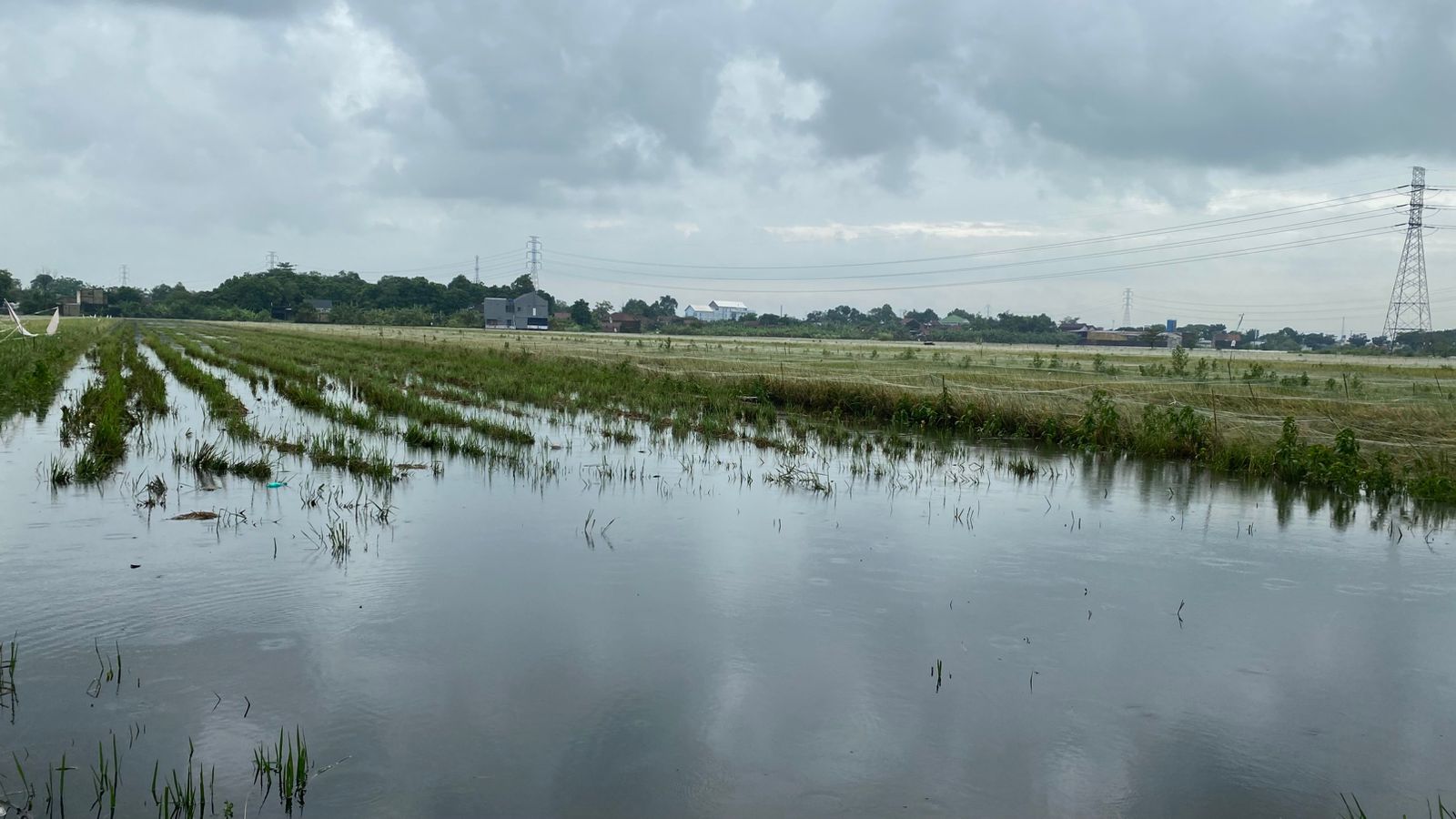 DPC PDIP Kudus Instruksikan Fraksi Kawal Perda Perlindungan Petani Akibat Banjir