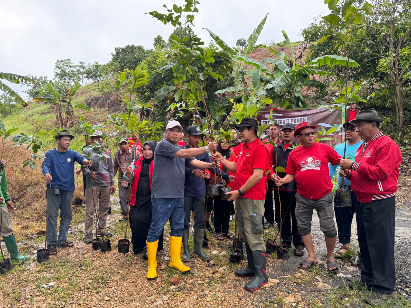 DPC PDIP Kudus Tanam Pohon hingga Tebar Benih Ikan sebagai Kado Ibu Megawati Soekarnoputri