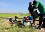 Sawah Menyusut, Jateng Pasang Peringatan Keras demi Ketahanan Pangan Nasional