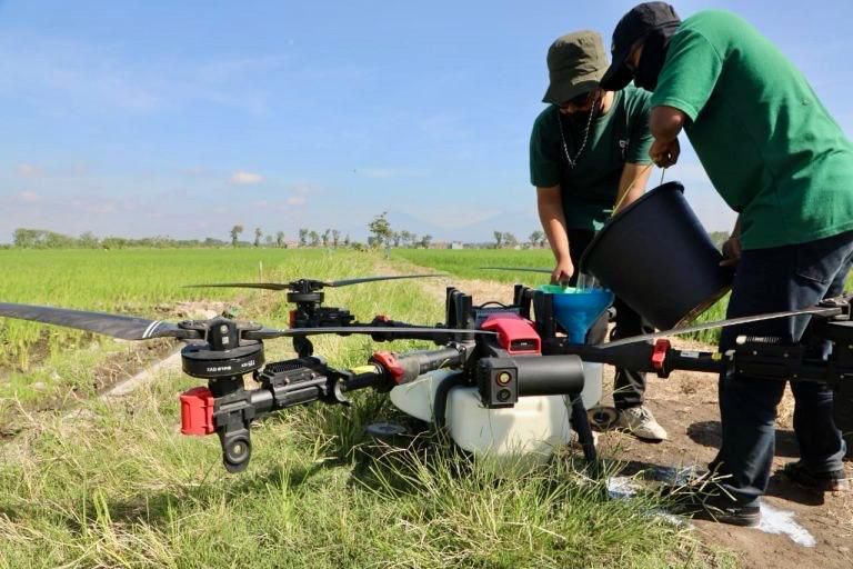 Sawah Menyusut, Jateng Pasang Peringatan Keras demi Ketahanan Pangan Nasional