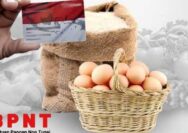 18 Juta Keluarga Terima Bansos PKH dan BPNT Cair Februari 2026, Cek Nama Anda Sekarang