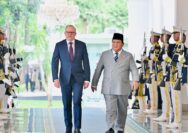 Dampingi Prabowo di Istana, PM Albanese Tegaskan Hubungan RI-Australia Kian Komprehensif