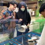 Jual Kelinci dan Hamster di Dandangan, Pedagang Bagikan Tips Perawatan untuk Pemula