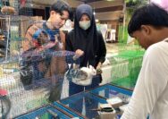 Jual Kelinci dan Hamster di Dandangan, Pedagang Bagikan Tips Perawatan untuk Pemula