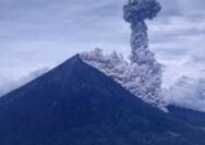 Gunung Semeru Erupsi Beruntun, Awan Panas Sejauh 6 Kilometer Meluncur ke Besuk Kobokan