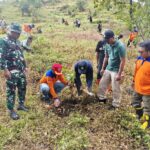 Peduli Ekosistem, Warga Undaan Tanam 200 Pohon di Bukit Sendoyo Kendeng