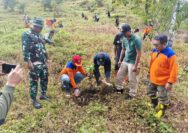 Peduli Ekosistem, Warga Undaan Tanam 200 Pohon di Bukit Sendoyo Kendeng