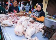 Harga Pangan di Kudus Awal Pekan 20 Juli 2026: Komoditas Beras dan Daging Ayam Stabil