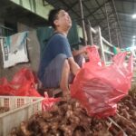 Harga Bumbu Pawon di Bulan Ramadhan 2026 Relatif Stabil, Kencur dan Sereh Alami Kenaikan Tipis