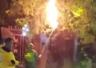 Sarang Tawon Vespa di Jalan Lamambau Dimusnahkan Polsek Kudus Kota Bersama BSN Rescue