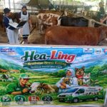 Pemerintah Beri Layanan Kesehatan Gratis Bagi Hewan Ternak di Jawa Tengah 