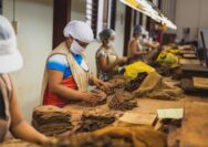 Napas Kota Kretek: Kisah Buruh Giling yang Menjadi Tulang Punggung Ekonomi Kudus