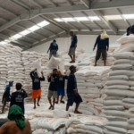 Alokasi Pupuk Subsidi Pati 2026 Tembus 84,6 Ribu Ton: Cek Rincian Urea & NPK