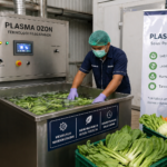 Petani di Kudus Wajib Tahu, Plasma Ozon Jadi Solusi Perpanjang Masa Simpan Pascapanen