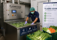 Petani di Kudus Wajib Tahu, Plasma Ozon Jadi Solusi Perpanjang Masa Simpan Pascapanen