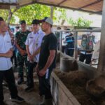 Jelang Iduladha 2026: Gubernur Jateng Intensifkan Layanan Healing Ternak di Pedesaan
