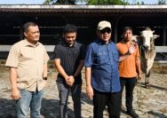Berkah Setia Farm Purworejo: Inovasi Peternakan Milenial Hasilkan Sapi Premium