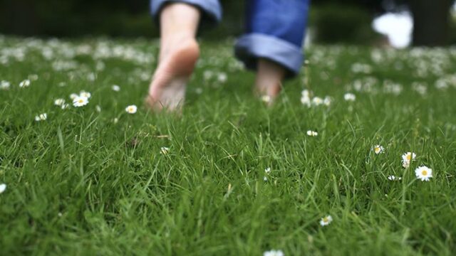 Sehat Tak Perlu Mahal: Manfaat Luar Biasa Jalan Kaki Nyeker di Rumput
