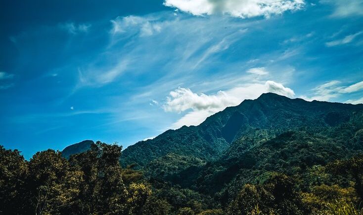 Mengapa Udara Pagi di Lereng Gunung Muria Begitu Istimewa?